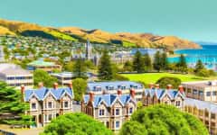 Dunedin cover image